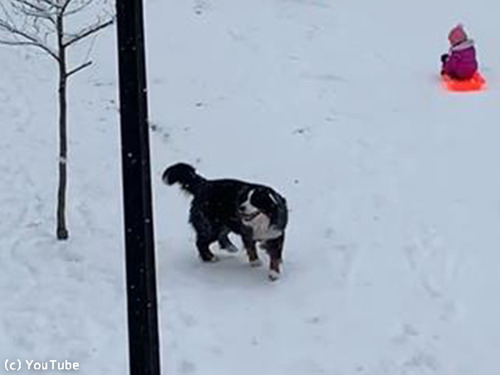 ��򰦤��Ƥ�ޤʤ��������00