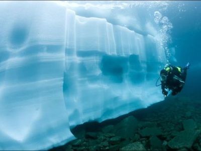 ����ץ��θ���00