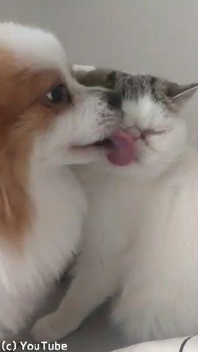 ǭ�ؤΰ���ɽ�����㤷�᤮����03