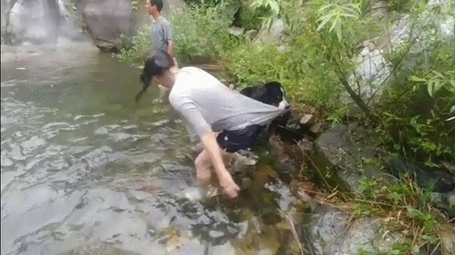 泳がせてくれない犬04