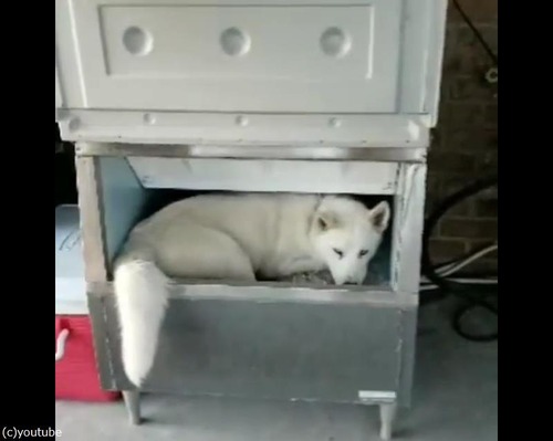 ����ˤ��鲿���ФƤ�02