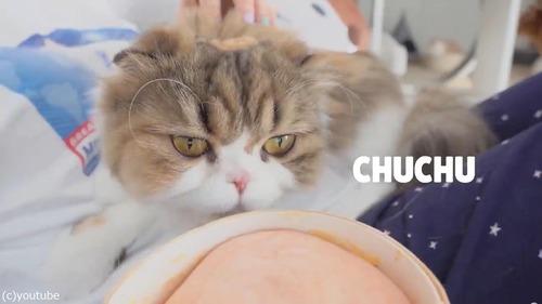 �ˤ����������ʥ�������ǭ03