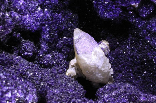 世界最大のアメジスト03