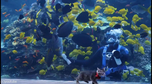 ���硼������²�ۤ�ˬ�줿��ǭ����01