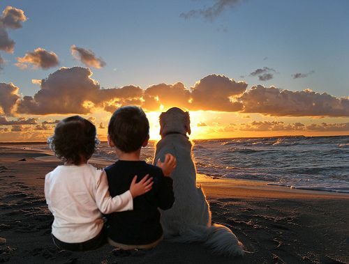 白血病の子供にフォトショップ27