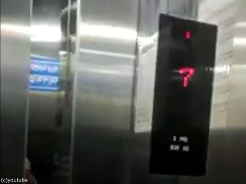 エレベーターの降りる階を理解してる猫01
