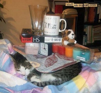 埋没する猫たち02