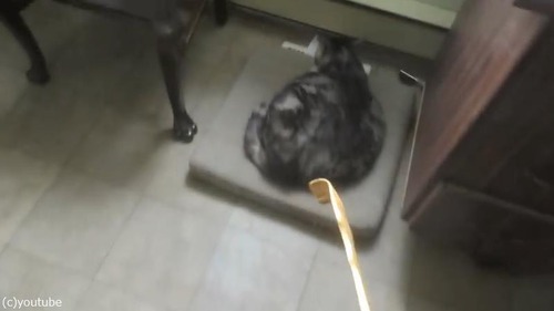 ǭ��¹�μ�ǥ�����������Ƥ�����01