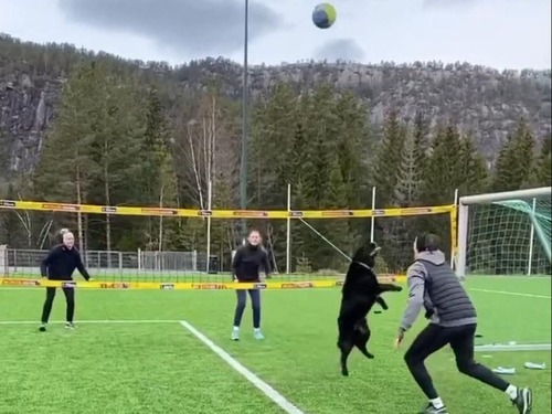 �Х졼�ܡ���Υȥ���ŷ�͸�04