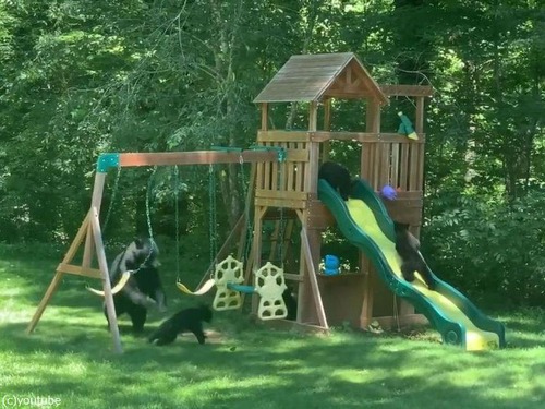 ͷǥޤοƻҤڤͷǤ02