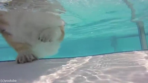 ���������αˤ�����椫�餸�ä���ѻ�02