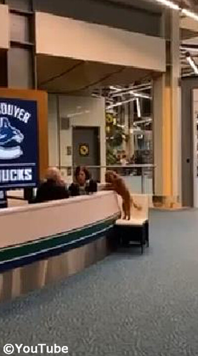 ���֥ϥ����Ƥ�館�ޤ��󤫡���01