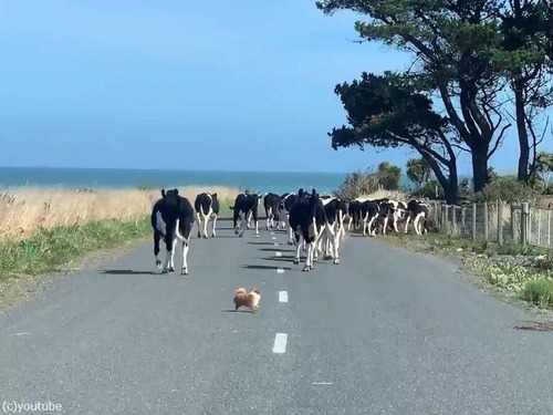 ����郎æ���������������ɤ�01