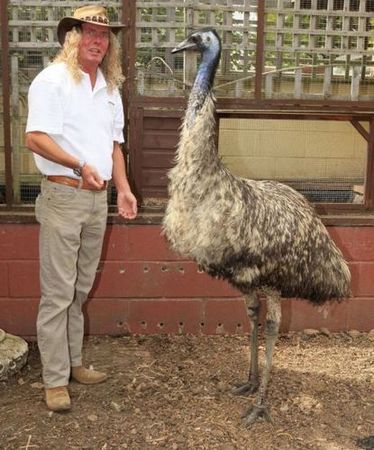 エミューと暮らす02