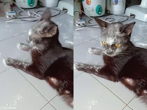 ����ʴ�˴���ͤù������ǭ02