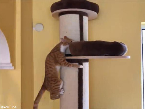 դդΥ٥åɤõ᤹ǭ00