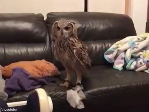 �֤����ϥ���Υ��ե�����05