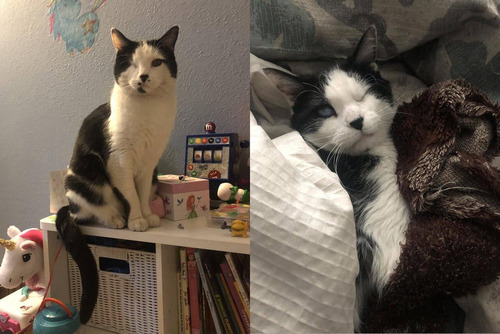 ���ξ�ǯ���������������ܤ�ǭ����Ǥˤ�äƤ���06