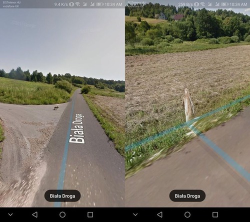 Googleストリートマップに写っていたウサギ02