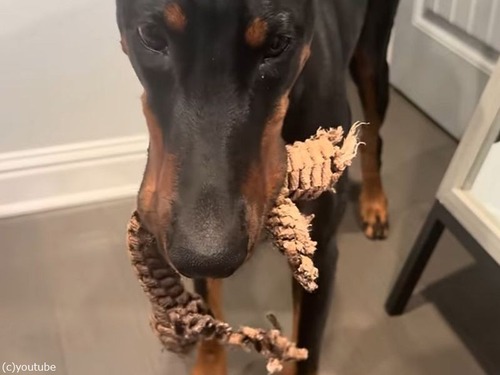 ³¾¡ߏ쏢»ԏ¼ҏ··ӏ