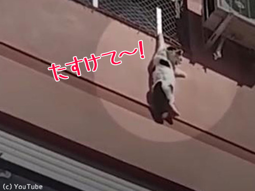 �ӥ�4����ư���ʤ��ʤä�ǭ��߽�00