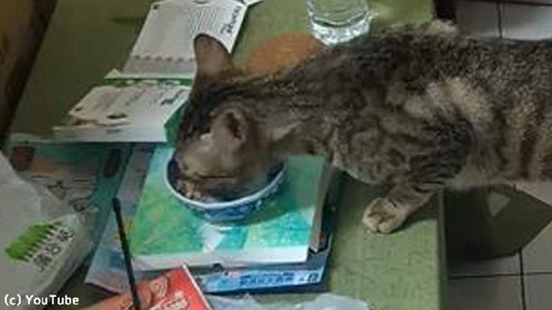 そんな体勢で食べニャくても…01