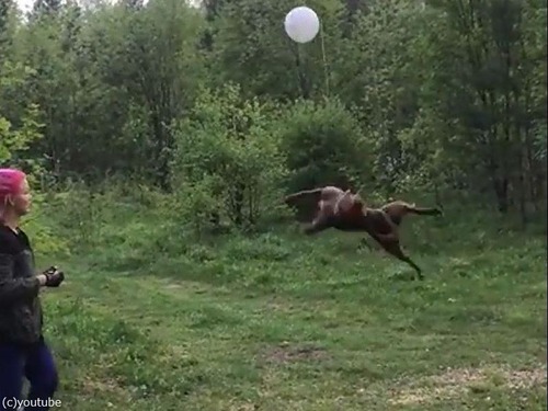 �����ȥ������ʸ�02