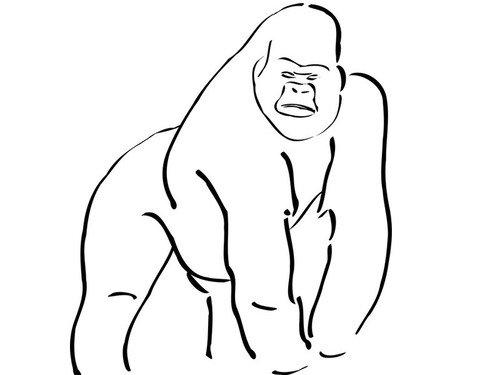 犬の背中にゴリラ