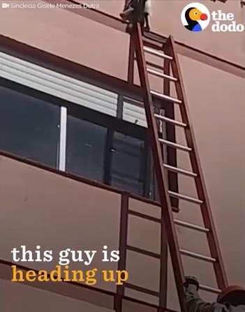 �ӥ�4����ư���ʤ��ʤä�ǭ��߽�02