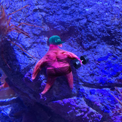 �ѥȥ�å���������06