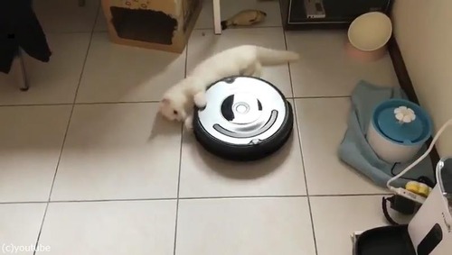 ���ФȤȤ�˲�ž����ǭ01