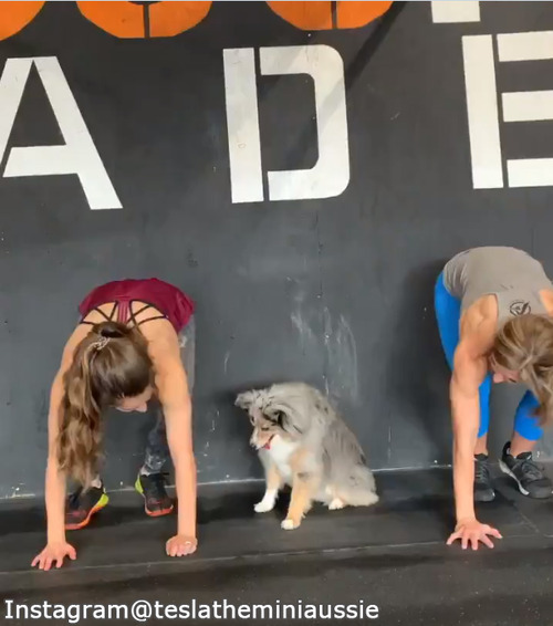 �����Ȱ����δ��ȥ졼�˥�01