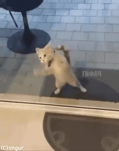 ǭ�֥˥����̤�ʤ��Ρ�01