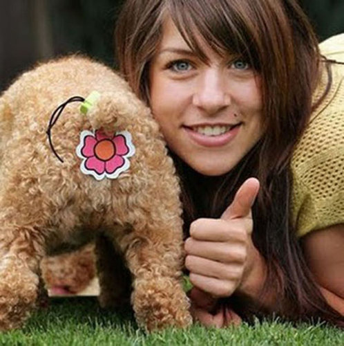 微妙な発明品04