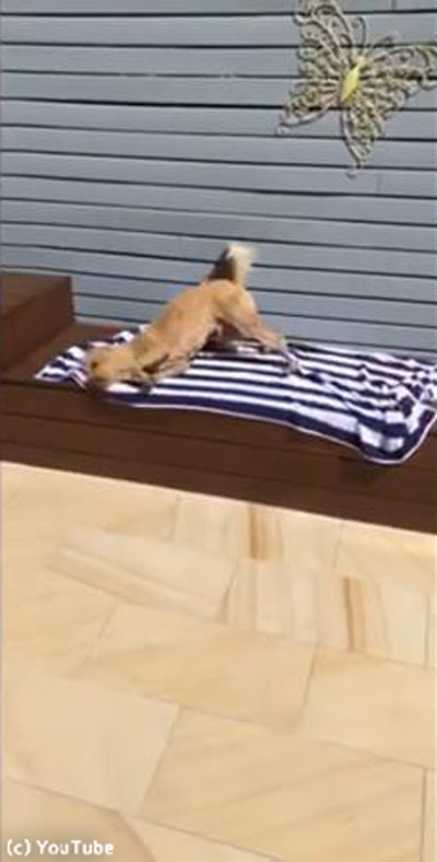 �ס���夬��θ����ʤ�Ƥ���������ġ�02