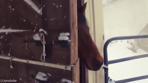 ���������01