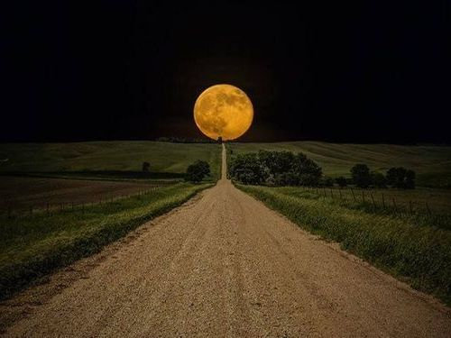 �����ѡ��ࡼ��14