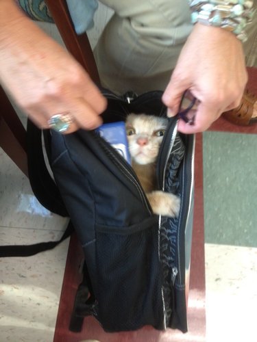 ���ع���ǭ01