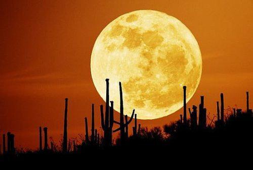 �����ѡ��ࡼ��13