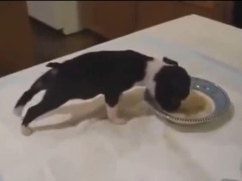 �����򤹤���Τ����Ӥ�Ҹ�03