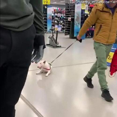 ����äƻ���ȸ�����Τ���������01