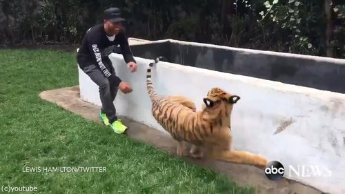 �פ��ظ夫�鶼������03