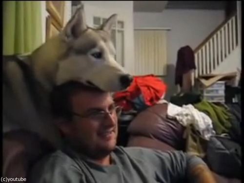 ����Ƭ�ξ�˴��褻�Ƥ���ȤǤ���ͷ��01