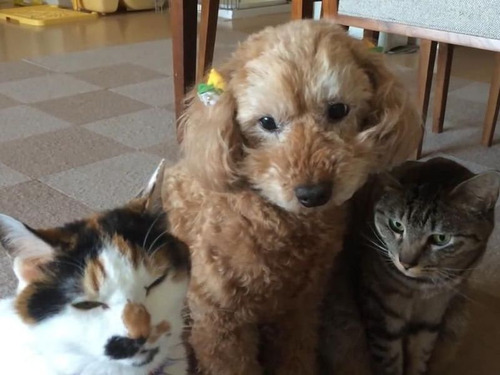 ǭ������ȥ��ס��ɥ�00