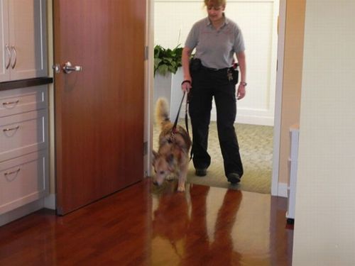 最後は愛犬と14