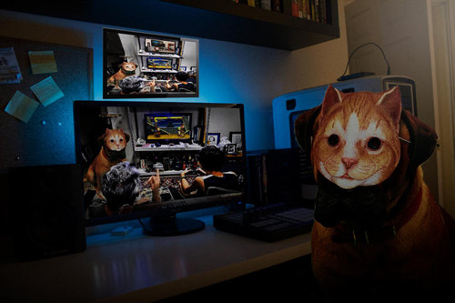 犬に猫マスク04