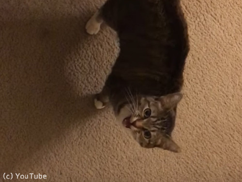 ��ʢ����������ʹ���Ȥ��ֻ�����ǭ��06