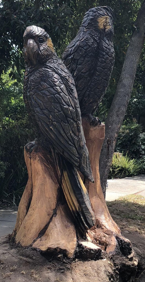 倒木とご近所さん02