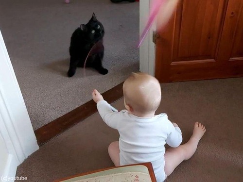 ǭ������֤����01