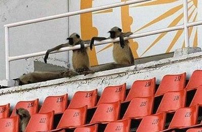 ���餱��ưʪ06